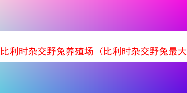 比利时杂交野兔养殖场 (比利时杂交野兔最大能长几斤)