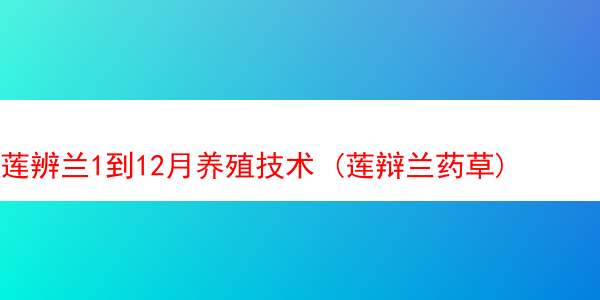 莲辨兰1到12月养殖技术 (莲辩兰药草)