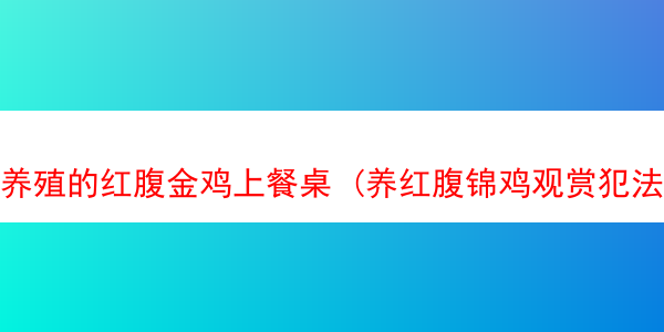 养殖的红腹金鸡上餐桌 (养红腹锦鸡观赏犯法吗)