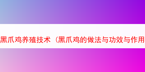 黑爪鸡养殖技术 (黑爪鸡的做法与功效与作用)