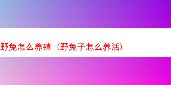 野兔怎么养殖 (野兔子怎么养活)