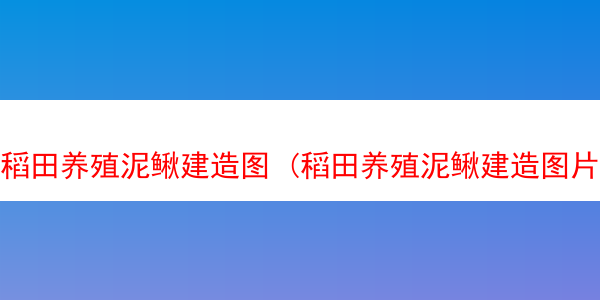 稻田养殖泥鳅建造图 (稻田养殖泥鳅建造图片)