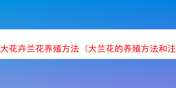 大花卉兰花养殖方法 (大兰花的养殖方法和注意事项 盆栽)