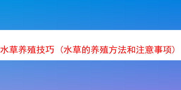 水草养殖技巧 (水草的养殖方法和注意事项)