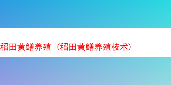 稻田黄鳝养殖 (稻田黄鳝养殖枝术)