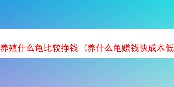 养殖什么龟比较挣钱 (养什么龟赚钱快成本低)