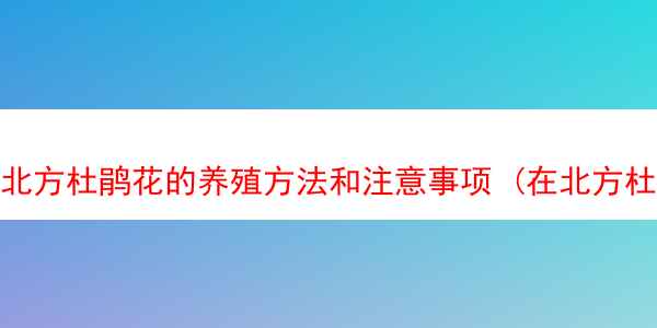 北方杜鹃花的养殖方法和注意事项 (在北方杜鹃花怎样繁殖)