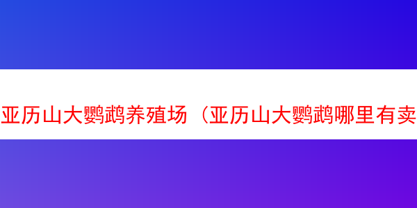 亚历山大鹦鹉养殖场 (亚历山大鹦鹉哪里有卖)