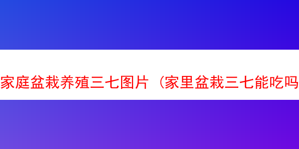 家庭盆栽养殖三七图片 (家里盆栽三七能吃吗)