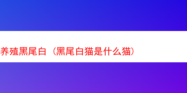 养殖黑尾白 (黑尾白猫是什么猫)