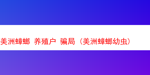 美洲蟑螂 养殖户 骗局 (美洲蟑螂幼虫)