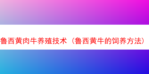 鲁西黄肉牛养殖技术 (鲁西黄牛的饲养方法)