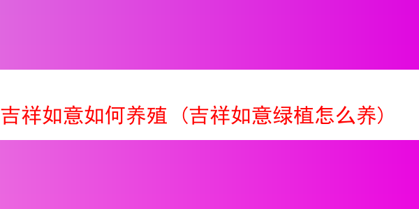 吉祥如意如何养殖 (吉祥如意绿植怎么养)