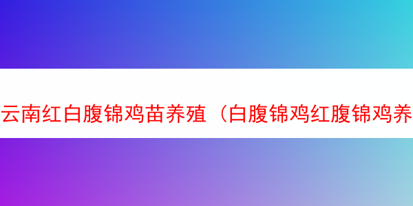 云南红白腹锦鸡苗养殖 (白腹锦鸡红腹锦鸡养殖基地)