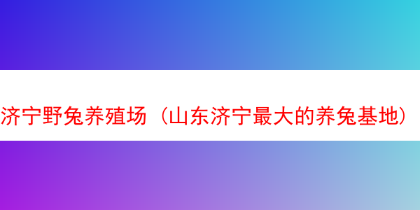 济宁野兔养殖场 (山东济宁最大的养兔基地)