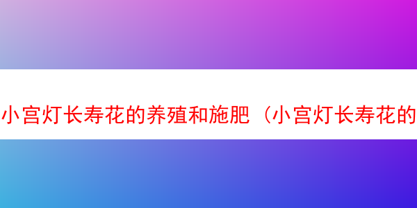 小宫灯长寿花的养殖和施肥 (小宫灯长寿花的养殖方法和注意事项)