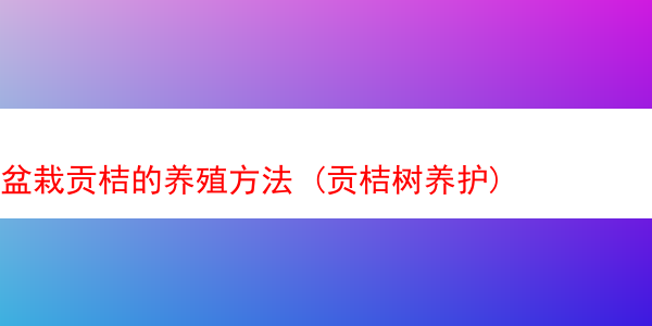 盆栽贡桔的养殖方法 (贡桔树养护)