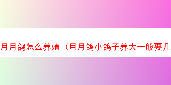 月月鸽怎么养殖 (月月鸽小鸽子养大一般要几个月才会下蛋)