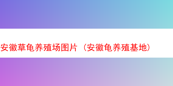 安徽草龟养殖场图片 (安徽龟养殖基地)