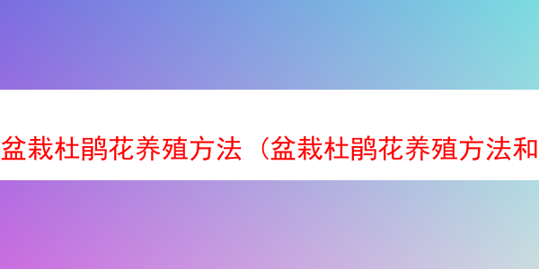 盆栽杜鹃花养殖方法 (盆栽杜鹃花养殖方法和注意事项)