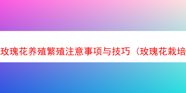 玫瑰花养殖繁殖注意事项与技巧 (玫瑰花栽培技术与管理)