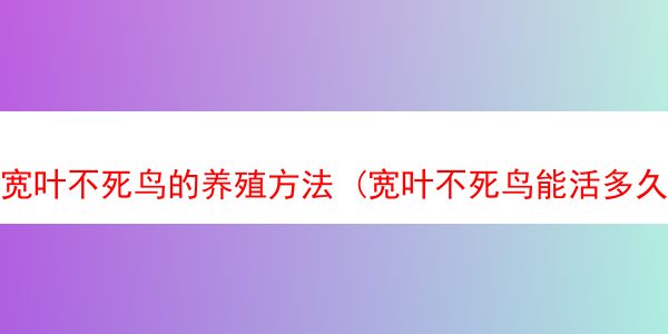 宽叶不死鸟的养殖方法 (宽叶不死鸟能活多久)