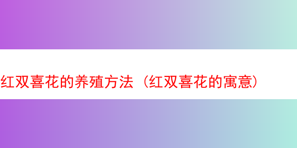 红双喜花的养殖方法 (红双喜花的寓意)