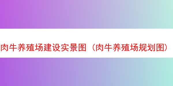 肉牛养殖场建设实景图 (肉牛养殖场规划图)