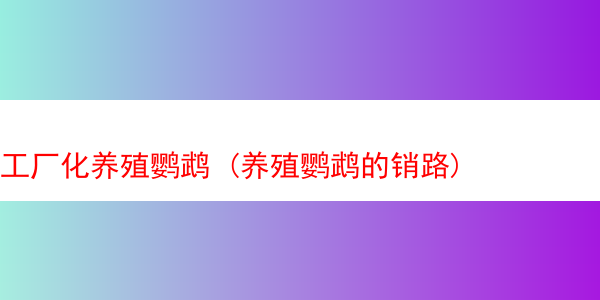 工厂化养殖鹦鹉 (养殖鹦鹉的销路)