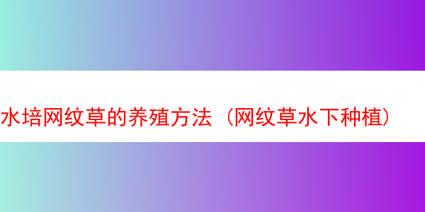 水培网纹草的养殖方法 (网纹草水下种植)