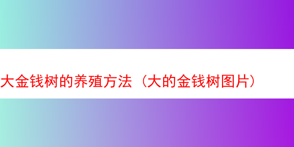 大金钱树的养殖方法 (大的金钱树图片)