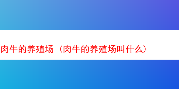 肉牛的养殖场 (肉牛的养殖场叫什么)