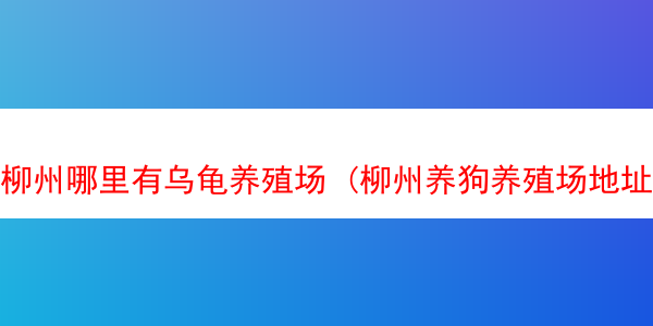 柳州哪里有乌龟养殖场 (柳州养狗养殖场地址)