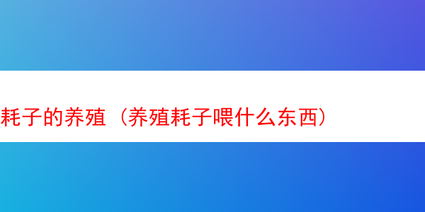 耗子的养殖 (养殖耗子喂什么东西)