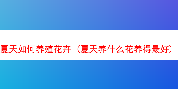 夏天如何养殖花卉 (夏天养什么花养得最好)