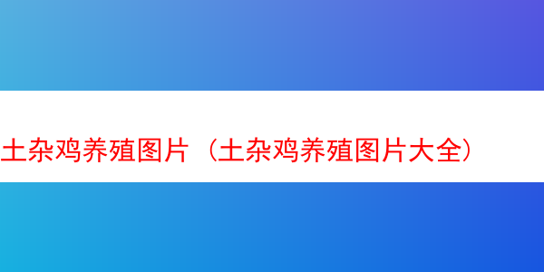 土杂鸡养殖图片 (土杂鸡养殖图片大全)