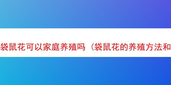 袋鼠花可以家庭养殖吗 (袋鼠花的养殖方法和注意事项)