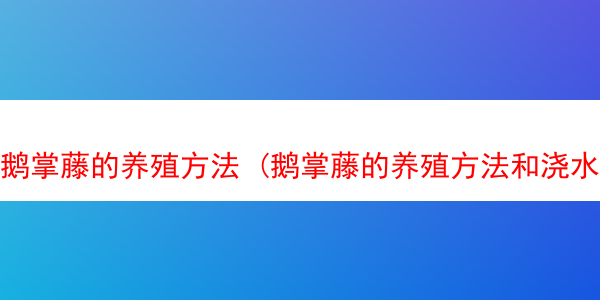 鹅掌藤的养殖方法 (鹅掌藤的养殖方法和浇水时间)