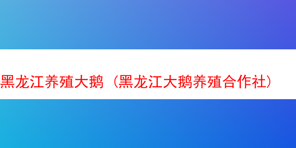 黑龙江养殖大鹅 (黑龙江大鹅养殖合作社)