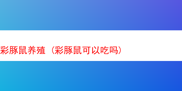 彩豚鼠养殖 (彩豚鼠可以吃吗)