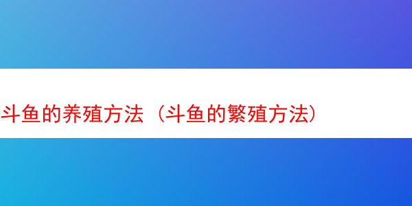 斗鱼的养殖方法 (斗鱼的繁殖方法)