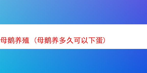 母鹅养殖 (母鹅养多久可以下蛋)