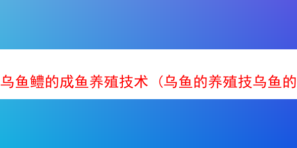 乌鱼鳢的成鱼养殖技术 (乌鱼的养殖技乌鱼的养殖技术)