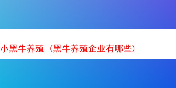 小黑牛养殖 (黑牛养殖企业有哪些)