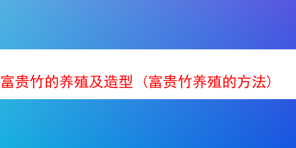 富贵竹的养殖及造型 (富贵竹养殖的方法)