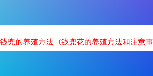 钱兜的养殖方法 (钱兜花的养殖方法和注意事项)