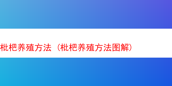 枇杷养殖方法 (枇杷养殖方法图解)