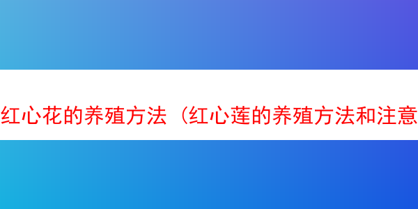 红心花的养殖方法 (红心莲的养殖方法和注意事项)