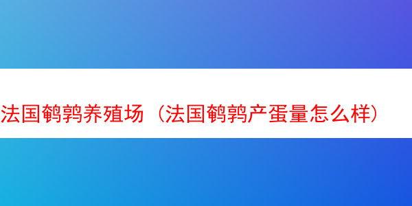 法国鹌鹑养殖场 (法国鹌鹑产蛋量怎么样)