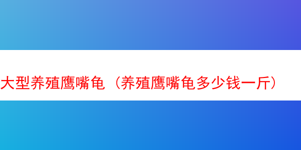 大型养殖鹰嘴龟 (养殖鹰嘴龟多少钱一斤)